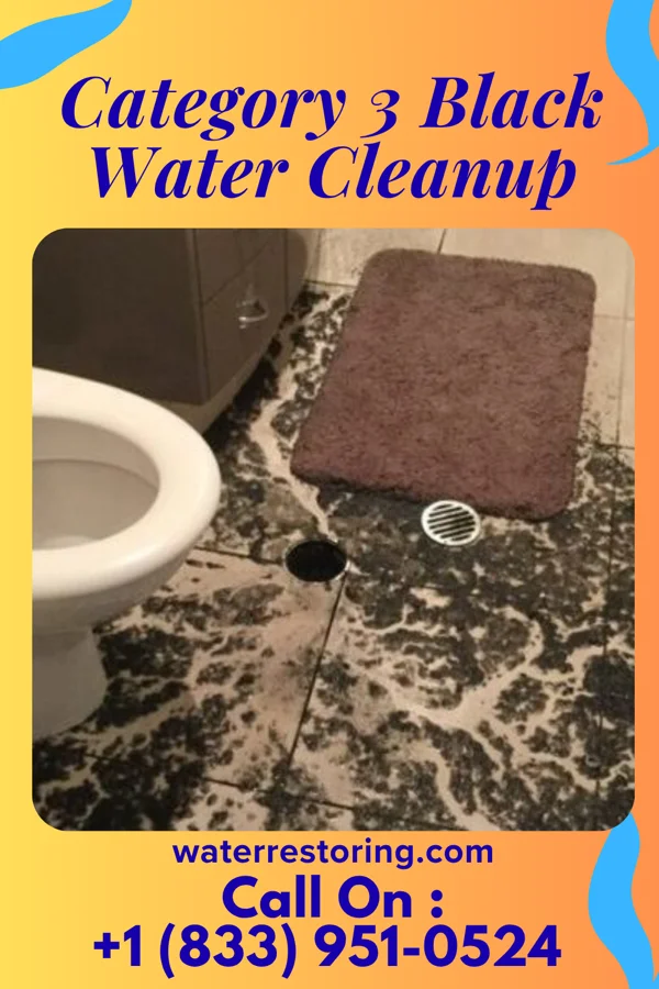 Category 3 Black Water Cleanup in Crowder, MS