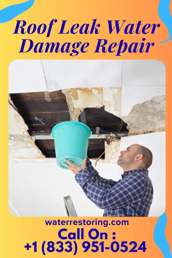 Roof Leak Water Damage Repair in Crowder, MS